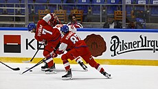 �e�tí hokejisté Tomá� Dvo�ák a Michal Kova��ík se pokou�í vybojovat puk v...