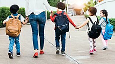 ilustra�ní snímek