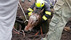 Záchrana kon�, který spadl v Lysé nad Labem do skru�e s vodou (23. dubna 2023).