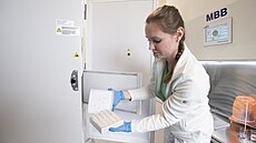 Zuzana Dole�ková v laborato�i v budov� polikliniky Medila (25. dubna 2023)