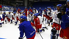 Momentka z tréninku hokejové reprezentace v Brně