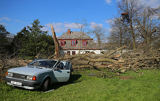 Zniená stará kodovka, na kterou spadl mohutný strom. A trampolína vysoko v...