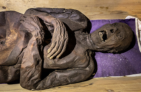 Mumie: Ve vamberecké krypt kostela sv. Prokopa.