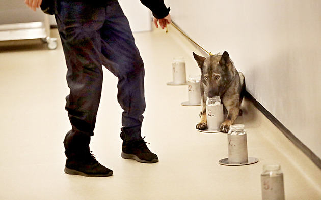 Policejní „čmuchalové“ mají nové sídlo, jsou v něm tisíce pachových konzerv