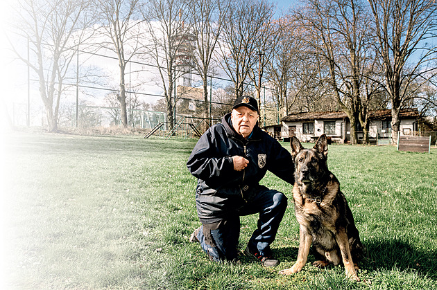 Dříve byli psi odolnější, říká kynolog. Dnes ani nesmějí napadnout figuranta