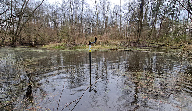 Zkusíme odvrátit kalamitu. Komáři ale budou, počasí jim přeje, varují hygienici