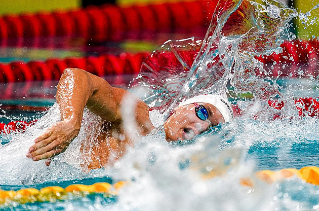 Ostravští plavci cílí na český rekord ve sprinterské štafetě