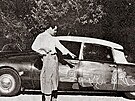 Pablo Picasso: Girlanda míru (1958)