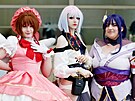V Brn se kon Animefest. Mnoz nvtvnci pili v kostmech, kter jsou...