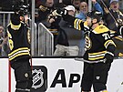 David Krejí (vlevo) a Taylor Hall (71) z Boston Bruins se objímají po gólu.