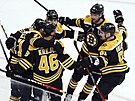 David Krejí (46) skóroval,  hokejisté Boston Bruins oslavují.