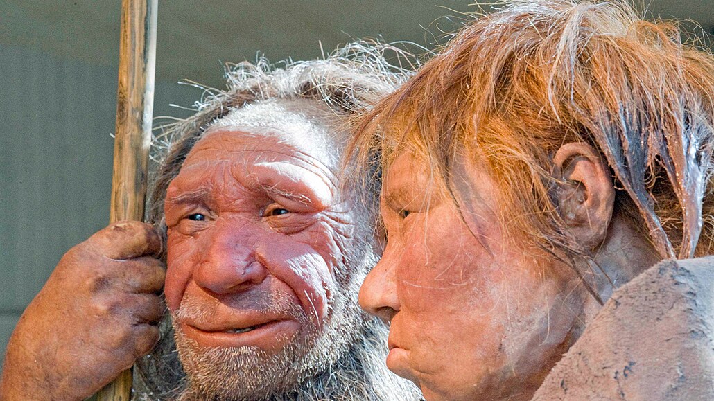 Model prehistorického neandrtálce a homo neanderthalensis (2009)