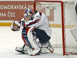 Slováci sice doli na MS 2004 dál ne ei, pesto se louili s turnajem se...