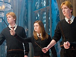 Sourozenci Weasleyovi v pátém díle nazvaném Harry Potter a Fénixv ád (2007).