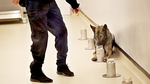 Slavnostn oteven nov budovy pro provdn metody pachov identifikace, kterou vyuvaj policejn psovodi se speciln vycvienmi psy. Pracovit se nachz v Modicch u Brna. (2. 5. 2023)