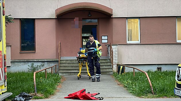 Od pondlnho veera e kriminalist ppad podezelho mrt eny v jednom z byt ve Sldkoviov ulici v prask Kri. (2. kvtna 2023)