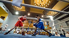 Grand Prix Ústí nad Labem v boxu 2023 v Dom kultury.