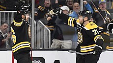 David Krejí (vlevo) a Taylor Hall (71) z Boston Bruins se objímají po gólu.