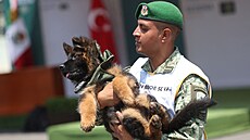 Turecko darovalo mexické armád tn nmeckého ováka jménem Arkadas jako...