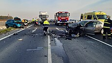 Vážná nehoda dvou osobních aut uzavřela dálnici D7 na 40. kilometru mezi Louny...