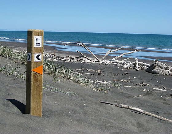 Trekingová trasa Te Araroa vede pes celý Nový Zéland a její zdolání je obecn...