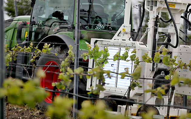 Traktor s UV panely šokem ochrání rostliny, vinaři si slibují vyšší výnos