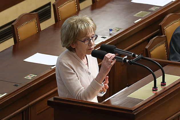 Šest vět i nekonečné projevy. Kdo jsou největší absentéři a řečníci Sněmovny