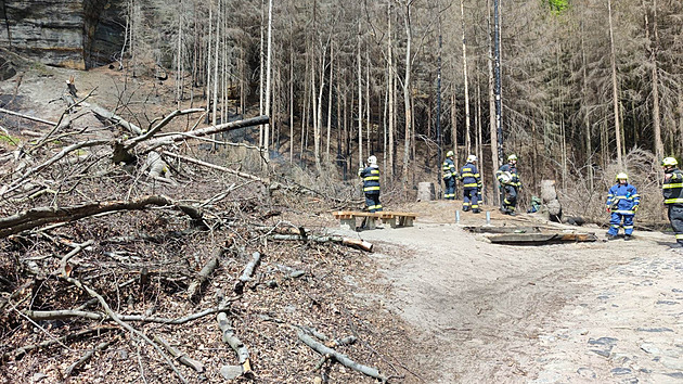 V Českém Švýcarsku u Pravčické brány hořel les. Policie zadržela jednoho člověka