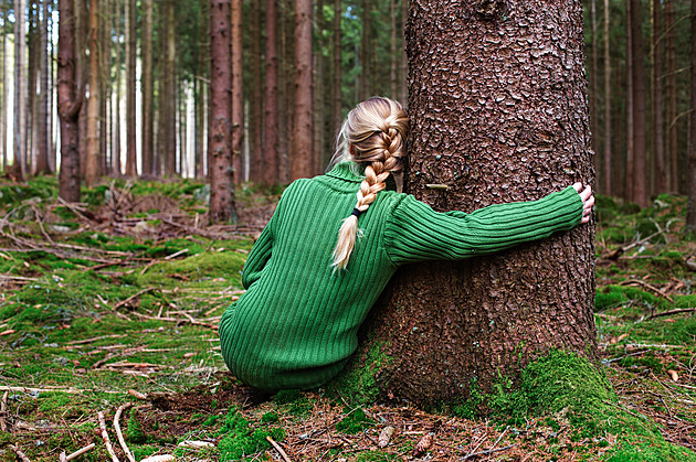 Každý den v lese pomáhá srovnat psychiku, posílit imunitu. Je to snadné