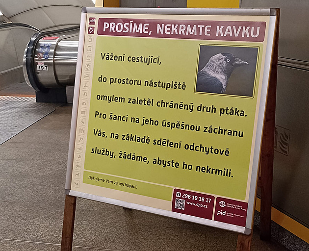 Netradiční upozornění čeká na cestující u vstupu do stanice metra Kobylisy.
