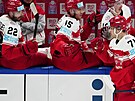 Dánský hokejista Niklas Andersen slaví se stídakou branku proti Rakousku.