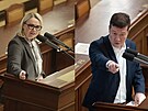 Ministryn obrany Jana ernochová (ODS) poletí podepsat smlouvu s USA, éf...