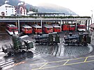 Paráda historických lokomotiv a voz na ton u Lucernského jezera ve Vitznau