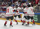 Hokejisté Kanady slaví první gól do sít Slovenska.