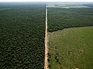 Letecký pohled na odlesnné oblasti poblí Las Lomitas  (18. dubna 2023)