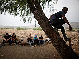 Migranti, peván z Venezuely, ekají v Mexiku na vlak, který pojede k...