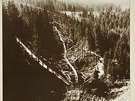 Devné smyky v krkonoském údolí Zeleného potoka po kalamit v roce 1930