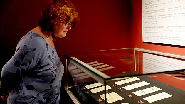 Moravsk zemsk muzeum v Brn vystavuje nejstar paprov penze, se ktermi se platilo v eskch zemch za habsbursk monarchie. Expozice je od stedy k vidn v Dietrichsteinskm palci.