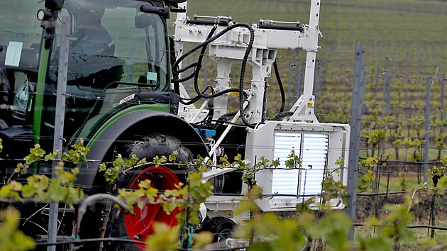 Traktor se speciálními UV panely ošetřuje řádky vinné révy nad rybníkem Nesyt na Břeclavsku.