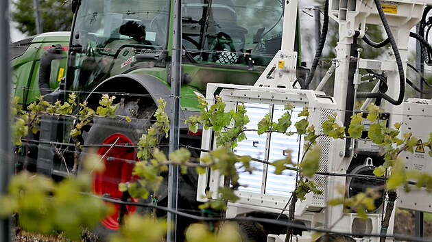 Traktor se speciálními UV panely ošetřuje řádky vinné révy nad rybníkem Nesyt na Břeclavsku.