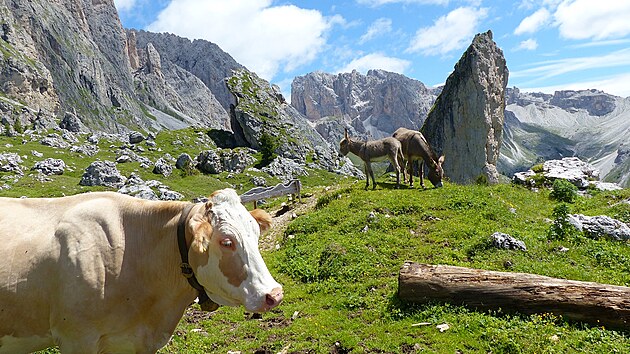 Jin Tyrolsko je branou do Dolomit a dky poloze na jin stran Alp i oblbenm turistickm clem po cel rok.