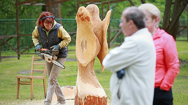 Desítka řezbářů tvoří v Desné dřevěné sochy.