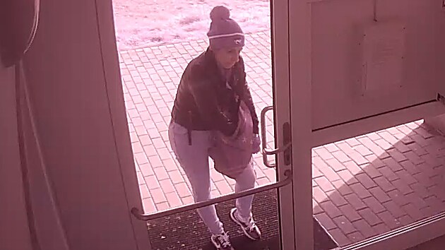 �tve�ice lid� se koncem b�ezna vloupala do bytu na pra�sk�m �ern�m Most�, �koda se vy�plhala na 1,7 milion� korun. Policie zve�ejnila z�b�ry z bezpe�nostn� kamery. (19. kv�tna 2023)