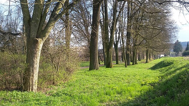 Přeložka silnice v Hronově by mohla ukousnout část „starého“ parku se vzrostlými stromy, které rostou v aleji podél trati.