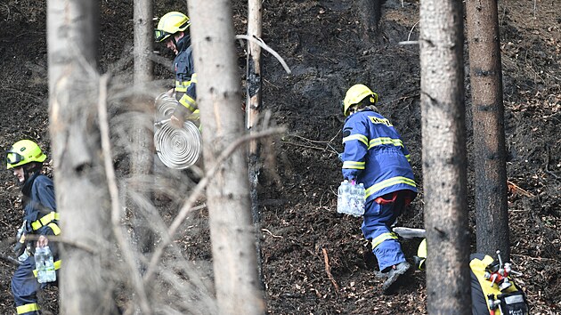 Ministr životního prostředí Petr Hladík (KDU-ČSL) na Twitteru k požáru uvedl, že lidé s pyrotechnikou nemají v národních parcích co dělat. „Jen díky pečlivé práci strážců národního parku se pravděpodobně podařilo zabránit dalším velkým škodám,“ uvedl ministr. (18. května 2023)