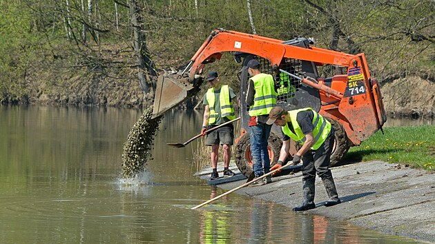 P��pravy na letn� sezonu v Bohum�n� vrchol�. Zahrnuj� i �i�t�n� b�eh� a v�m�nu kamen� u vstup� do vody.