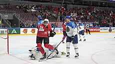 výcarský hokejista Tobias Geisser slaví trefu proti Kazachstánu na mistrovství...