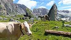 Jiní Tyrolsko je branou do Dolomit a díky poloze na jiní stran Alp i...