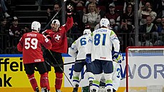 Nino Niederreiter vst�elil t�etí gól �výcar� do sít� Slovinska.