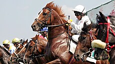 Zem� se chv�je, od kopyt koní odlétávají trsy trávy a tribuna se zvedá. Sázky...